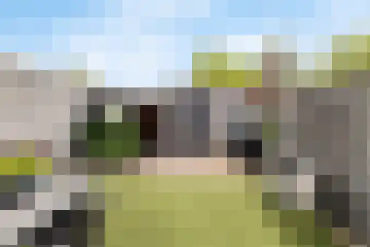 Rijpelplein 8 Helmond thumbnail 32