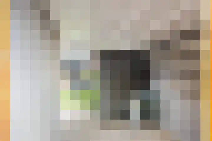 Rijpelplein 8 Helmond thumbnail 33