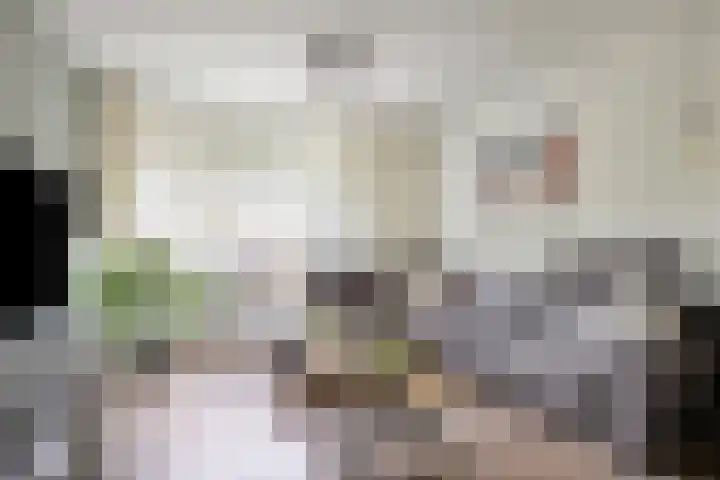 Rijperahemstraat 10 Sneek thumbnail 10