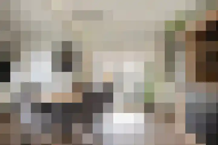 Rijperahemstraat 10 Sneek thumbnail 13