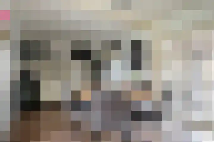 Rijperahemstraat 10 Sneek thumbnail 15