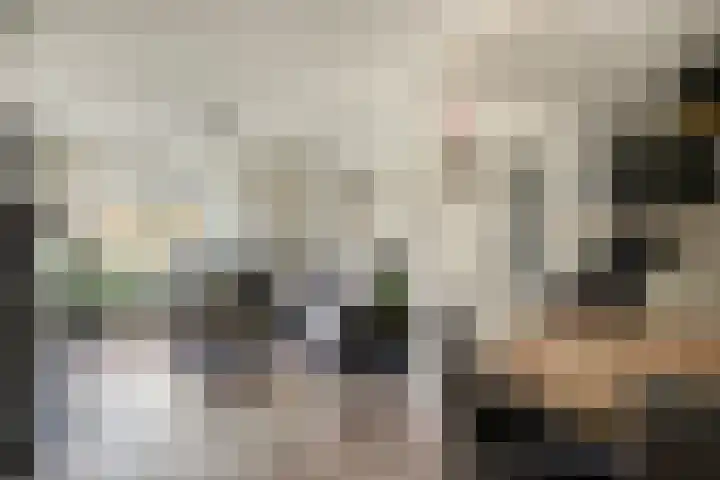 Rijperahemstraat 10 Sneek thumbnail 16