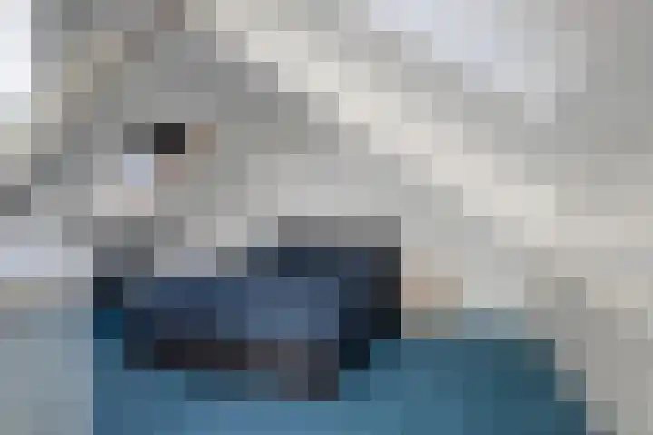 Rijperahemstraat 10 Sneek thumbnail 31