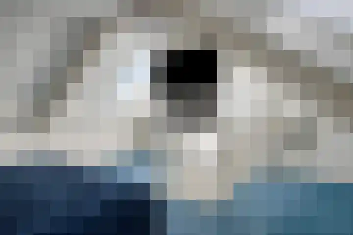 Rijperahemstraat 10 Sneek thumbnail 32