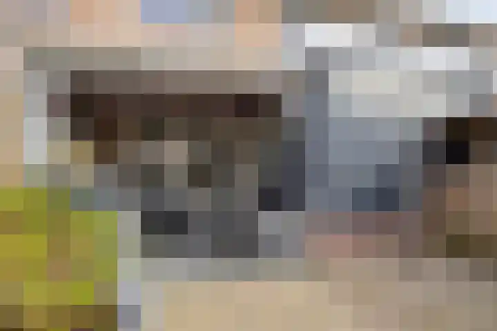 Rijperahemstraat 10 Sneek thumbnail 36