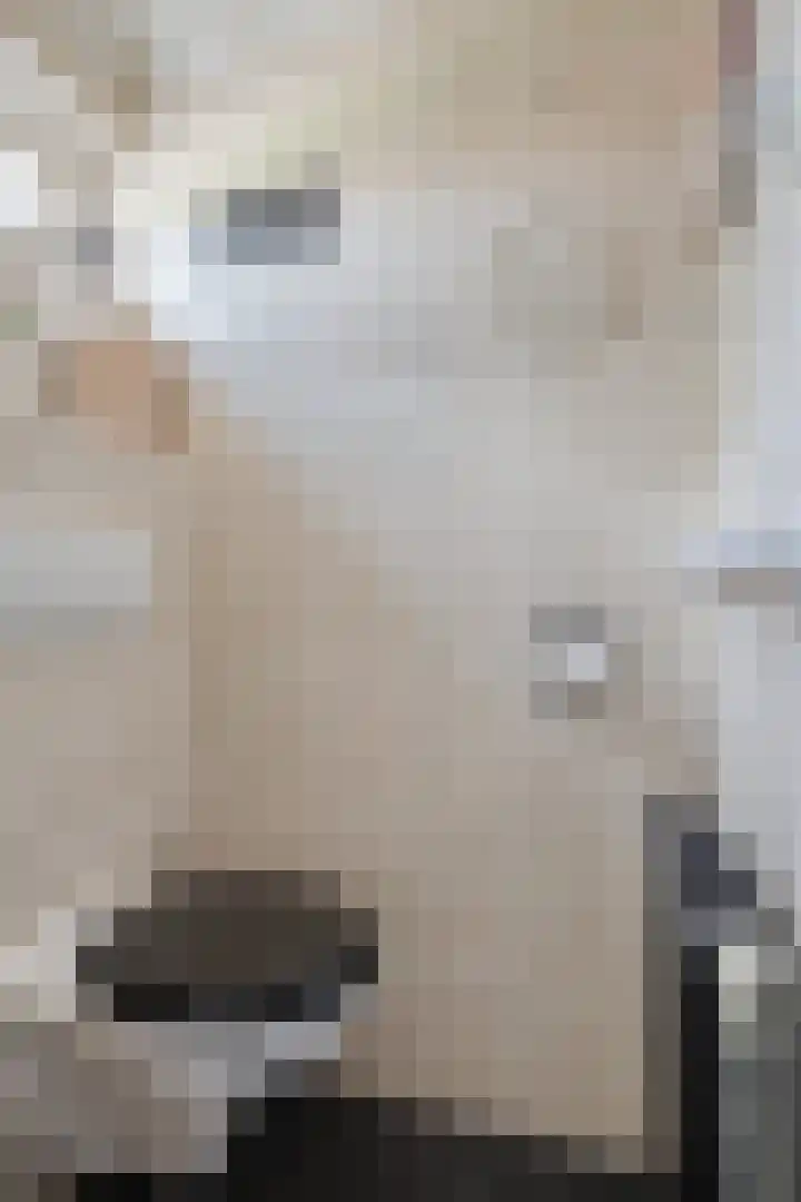 Rijperahemstraat 10 Sneek thumbnail 7