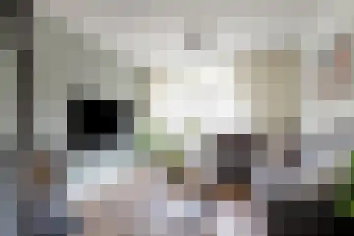 Rijperahemstraat 10 Sneek thumbnail 9