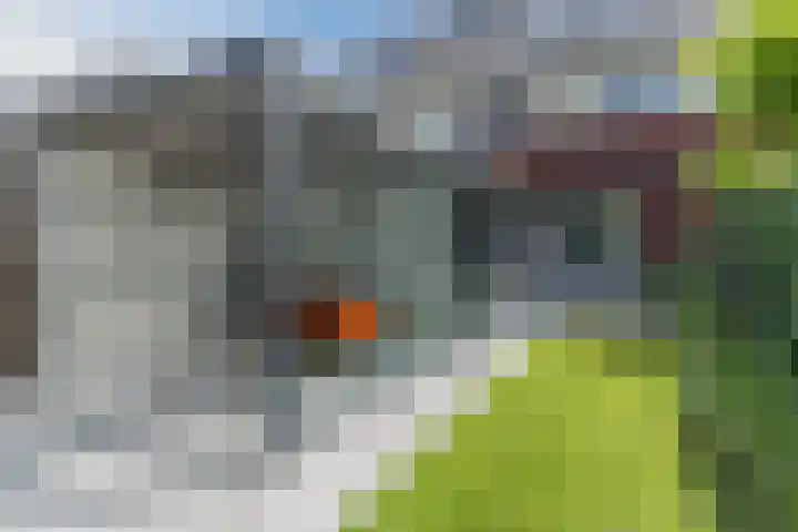 Rijperkerkpark 85 Tilburg thumbnail 41