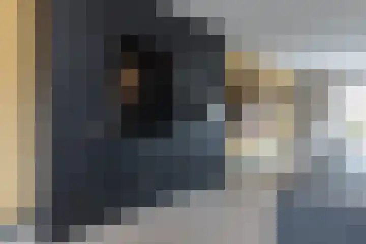 Rijperkerkpark 92 Tilburg thumbnail 16