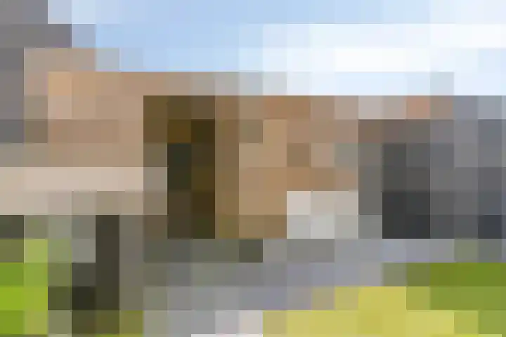 Rijperkerkpark 97 Tilburg thumbnail 27