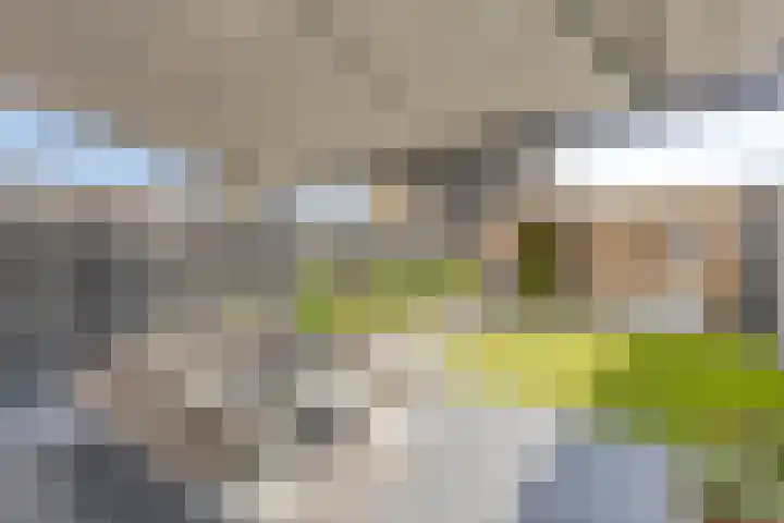 Rijperkerkpark 97 Tilburg thumbnail 31