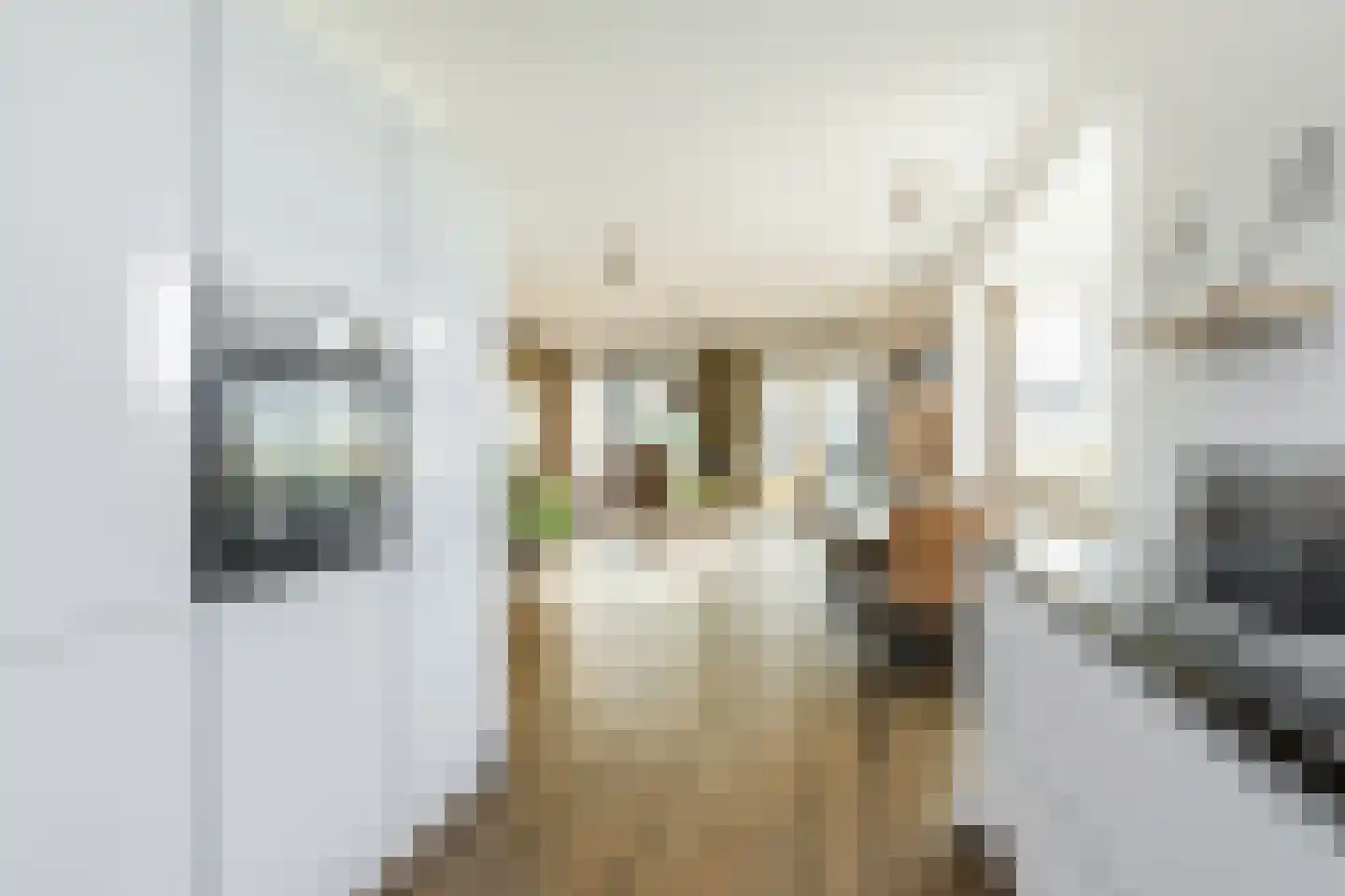 Rijperkerkstraat 33 Tilburg thumbnail 10