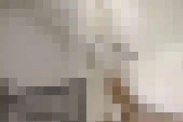 Rijperkerkstraat 5 Tilburg thumbnail 14