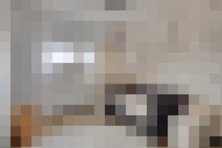 Rijperkerkstraat 5 Tilburg thumbnail 19