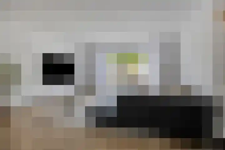 Rijperkerkstraat 5 Tilburg thumbnail 5