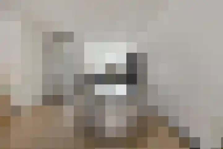 Rijperkerkstraat 5 Tilburg thumbnail 8