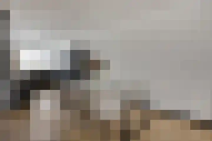 Rijperkerkstraat 5 Tilburg thumbnail 9