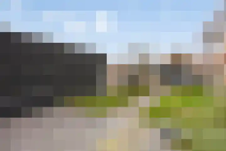 Rijpersweg 15 Oud Gastel thumbnail 19