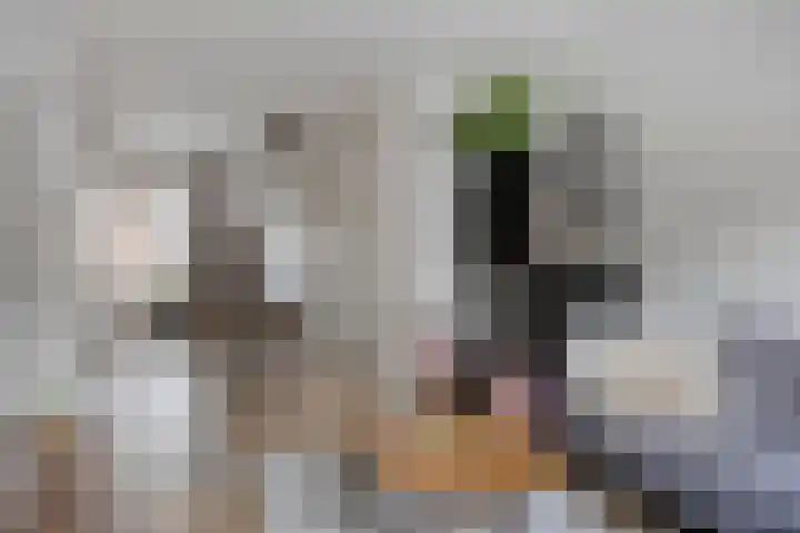Rijpersweg 15 Oud Gastel thumbnail 4