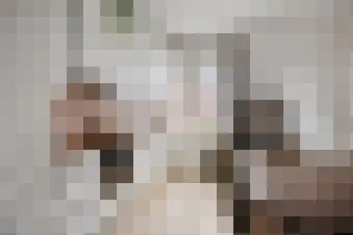Rijpersweg 15 Oud Gastel thumbnail 8