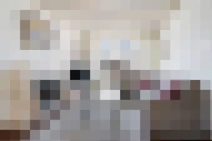 Rijpersweg 4 Oud Gastel thumbnail 12