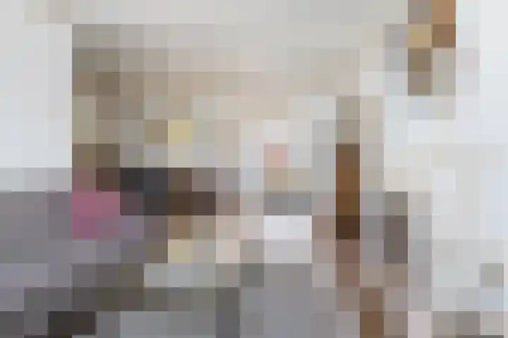 Rijpersweg 4 Oud Gastel thumbnail 13