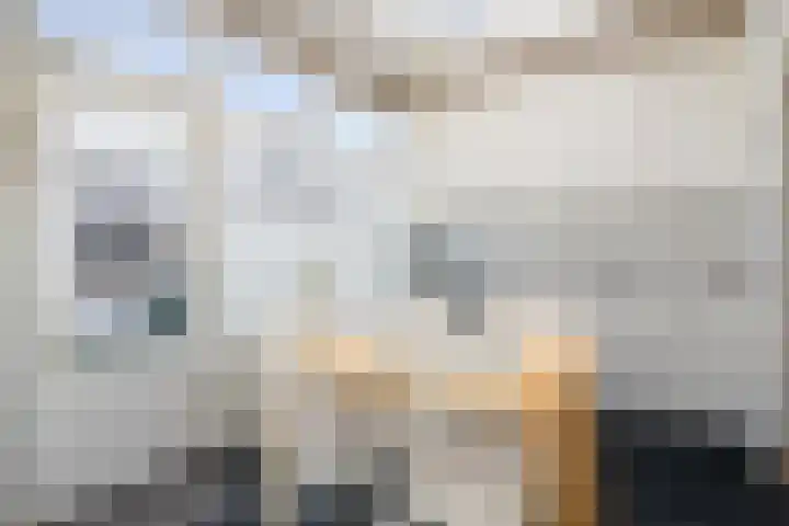 Rijpersweg 4 Oud Gastel thumbnail 17