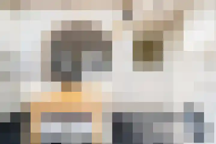 Rijpersweg 4 Oud Gastel thumbnail 18
