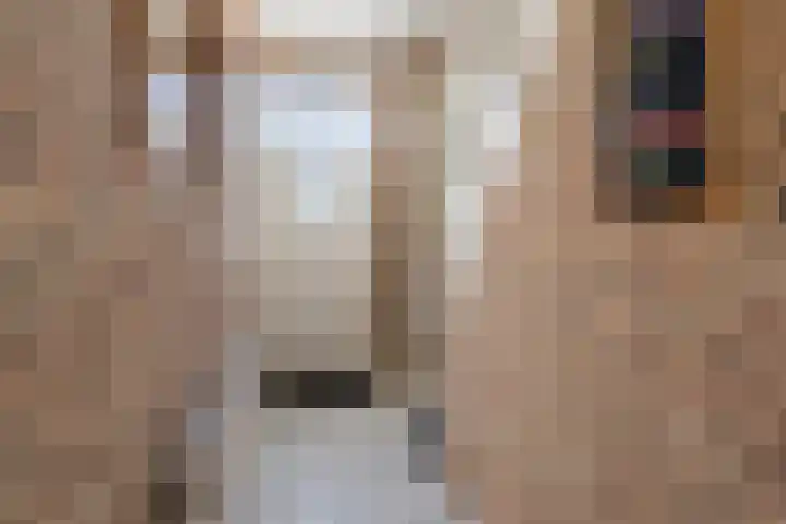 Rijpersweg 4 Oud Gastel thumbnail 22