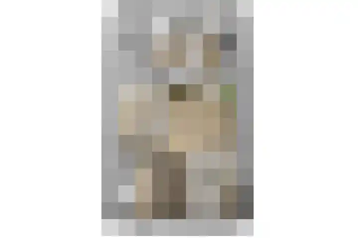 Rijpersweg 4 Oud Gastel thumbnail 39