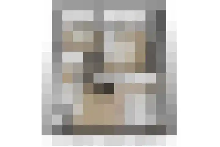 Rijpersweg 4 Oud Gastel thumbnail 41