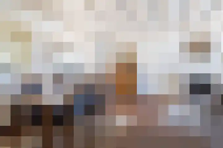 Rijpersweg 4 Oud Gastel thumbnail 9