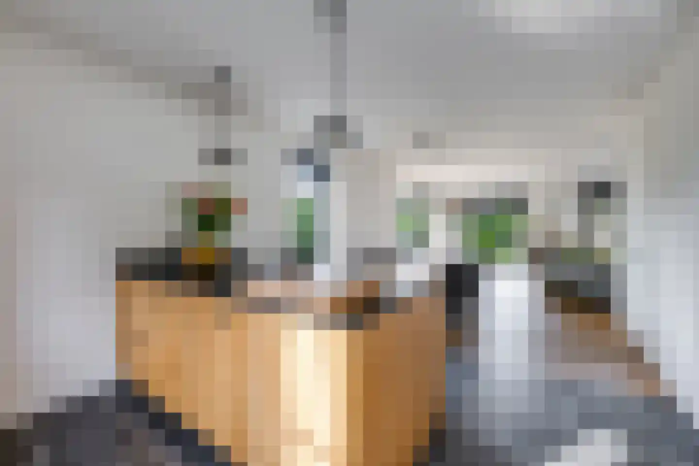 Rijpersweg 73 b Oud Gastel thumbnail 12