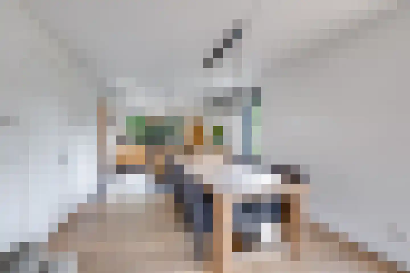 Rijpersweg 73 b Oud Gastel thumbnail 19