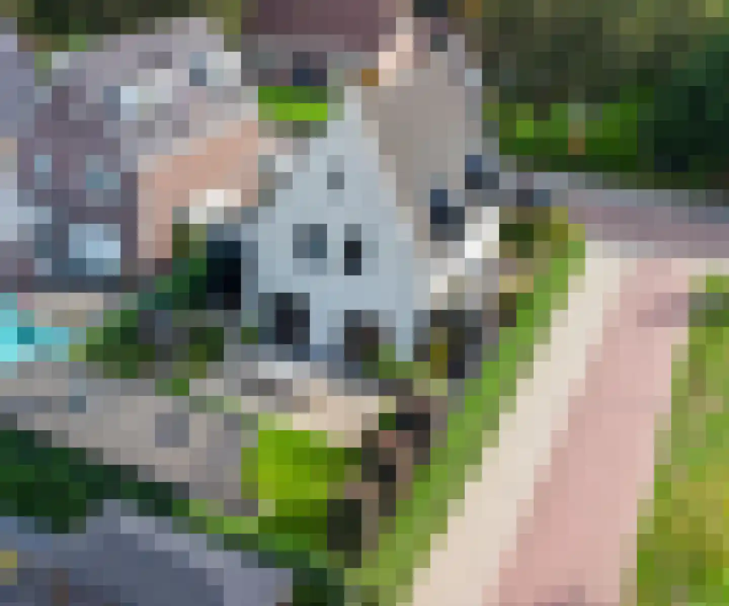 Rijpersweg 73 b Oud Gastel foto 3