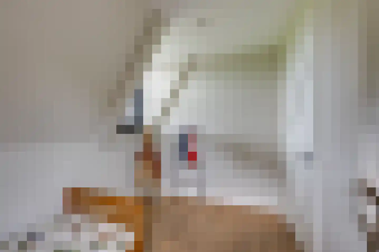 Rijpersweg 73 b Oud Gastel thumbnail 35