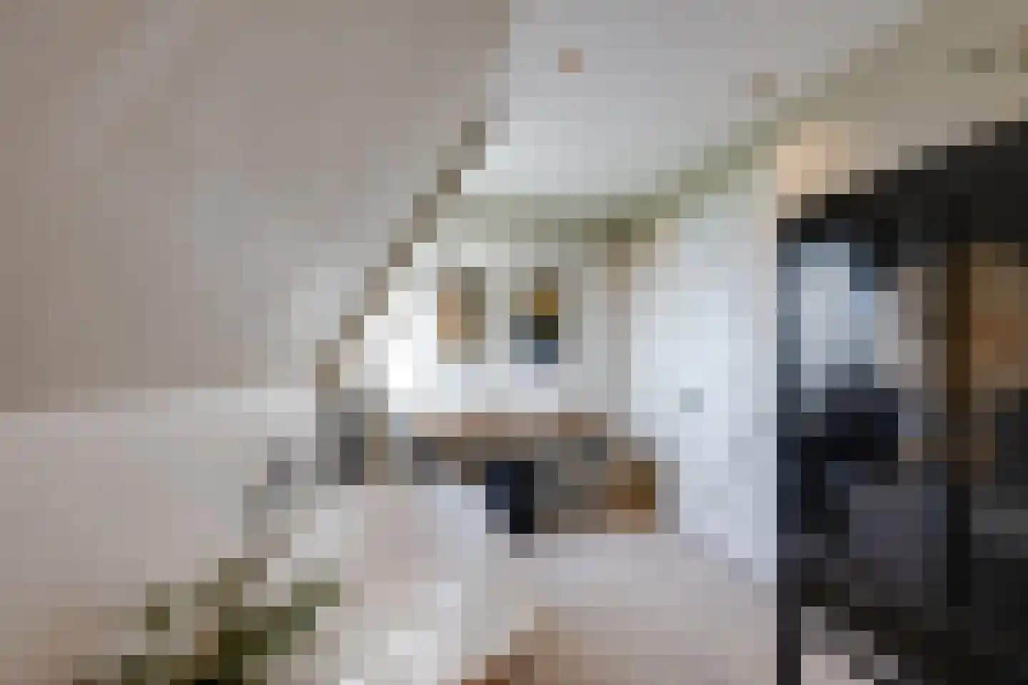 Rijpersweg 73 b Oud Gastel thumbnail 37