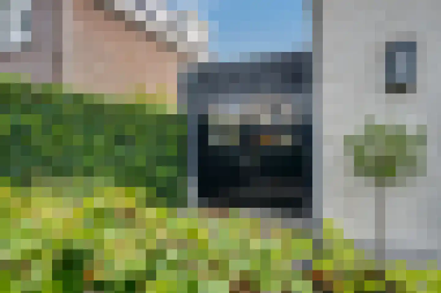 Rijpersweg 73 b Oud Gastel thumbnail 49