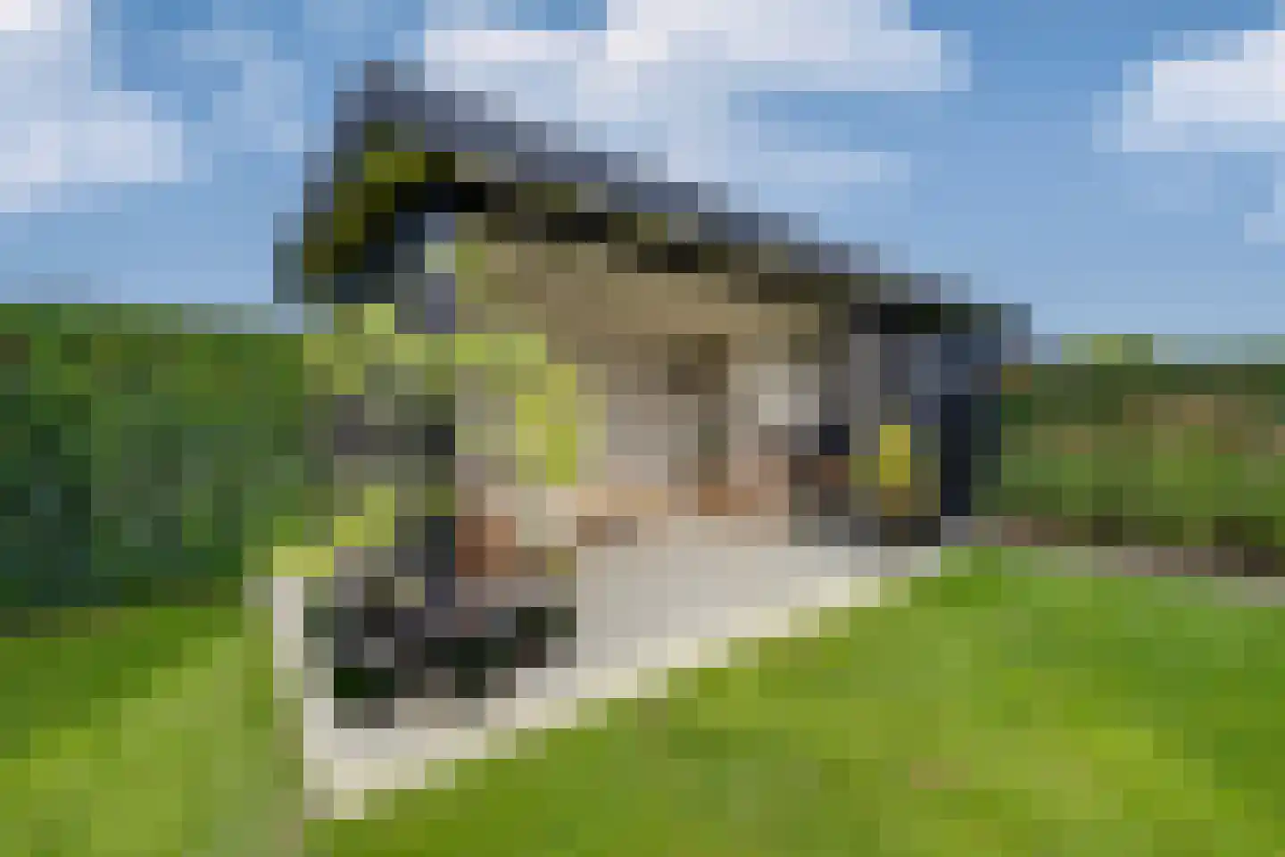 Rijpersweg 73 b Oud Gastel thumbnail 54