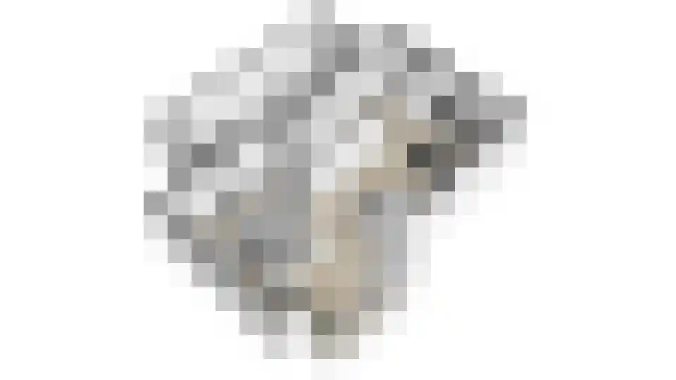 Rijpersweg 73 b Oud Gastel thumbnail 57