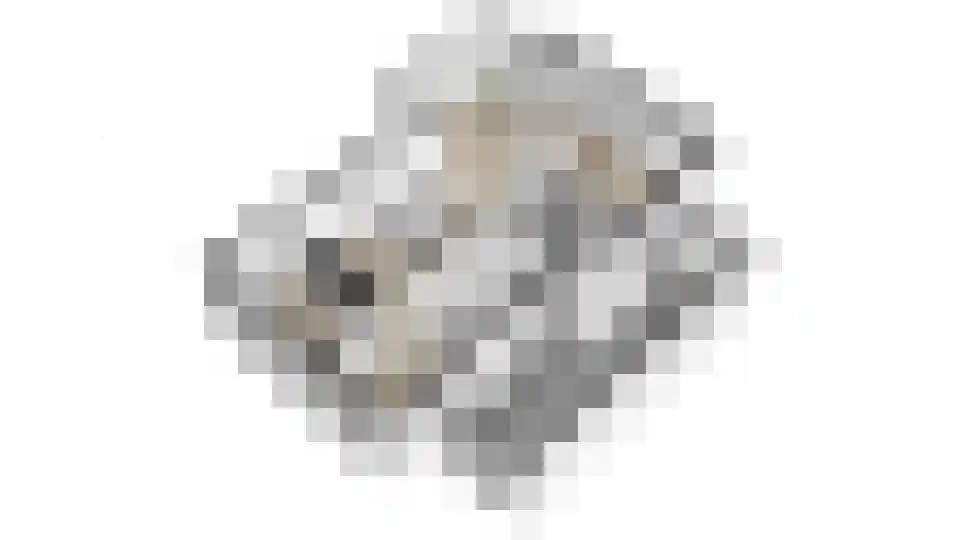 Rijpersweg 73 b Oud Gastel thumbnail 58