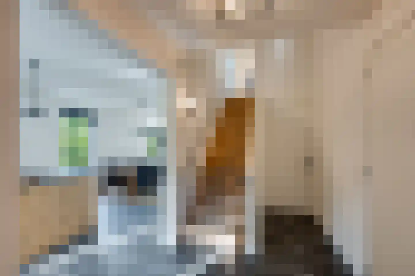 Rijpersweg 73 b Oud Gastel thumbnail 6