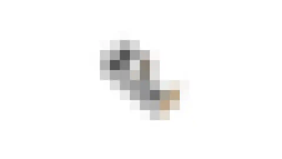 Rijpersweg 73 b Oud Gastel thumbnail 66