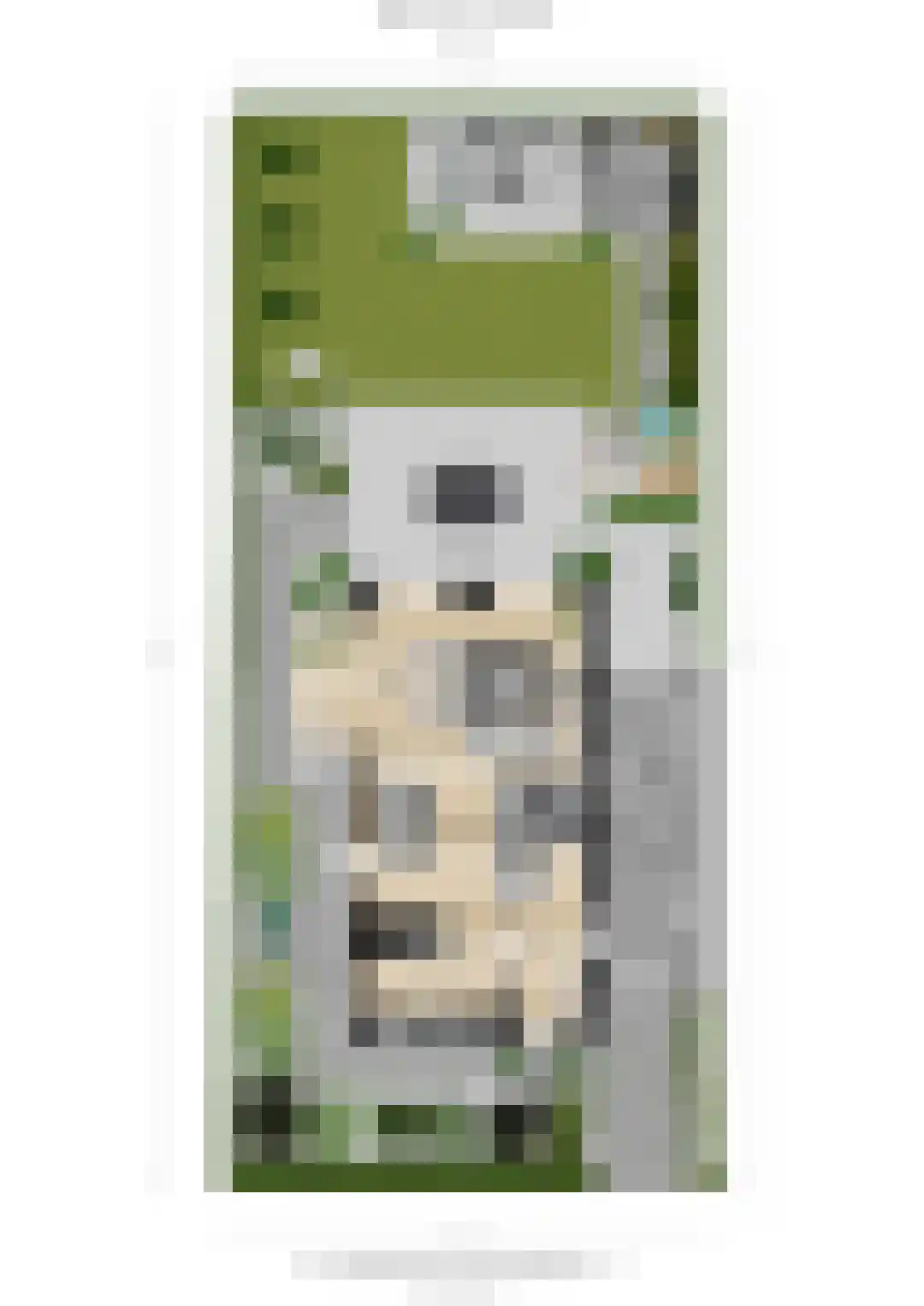 Rijpersweg 73 b Oud Gastel thumbnail 68