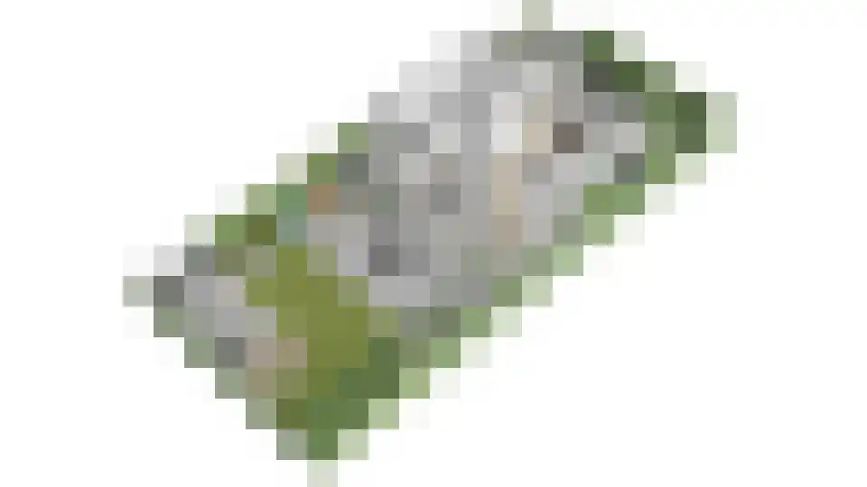 Rijpersweg 73 b Oud Gastel thumbnail 69