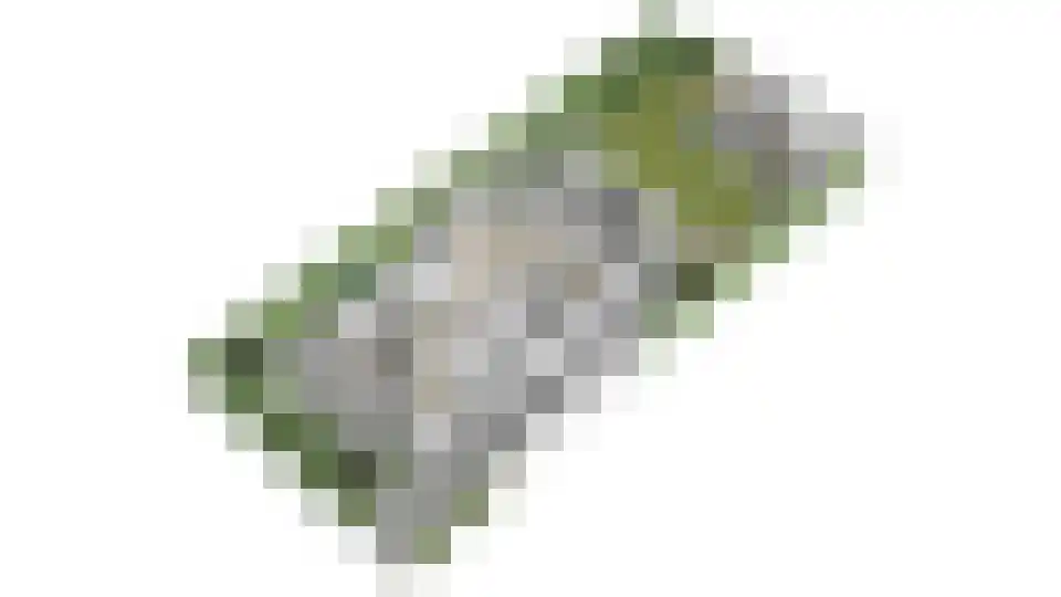 Rijpersweg 73 b Oud Gastel thumbnail 70