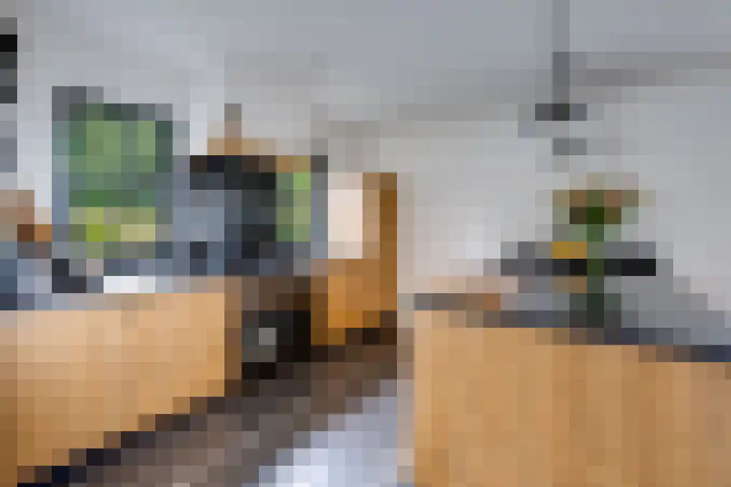 Rijpersweg 73 b Oud Gastel thumbnail 8