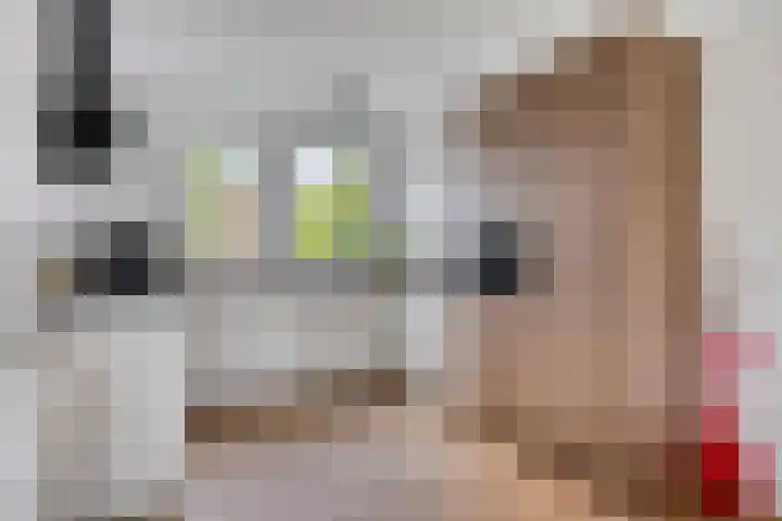 Rijperwaard 124 Alkmaar thumbnail 14