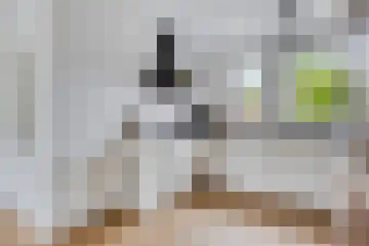 Rijperwaard 124 Alkmaar thumbnail 15