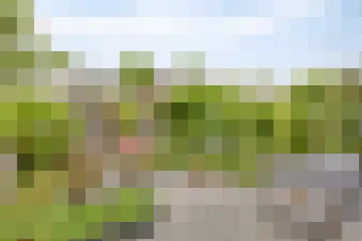 Rijperwaard 124 Alkmaar thumbnail 30